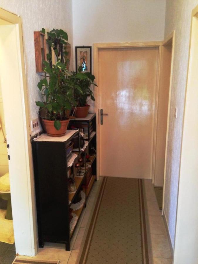 Guest House Ruza دوبروفينك المظهر الخارجي الصورة